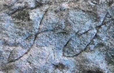 Dimanche 2 août : balade spirituelle et culte au Douhet. Attention, pas de culte au temple !